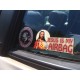 Jesus is my airbag