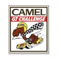 Camel GT Challenge