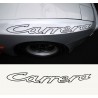 924 Carrera lettering